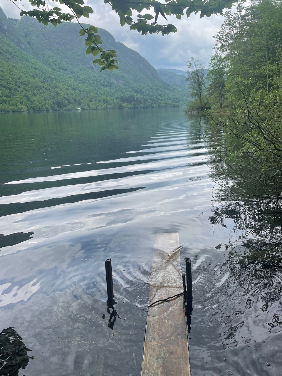 Slowenien - Bohinjsko Jezero - 