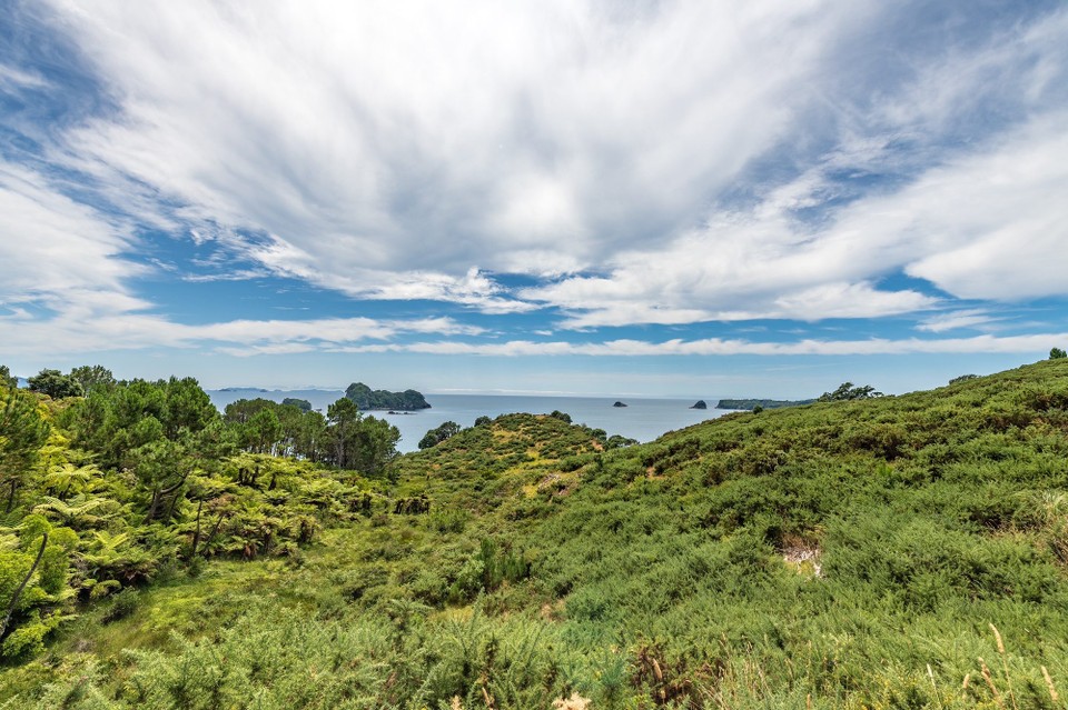 Neuseeland - Waitomo Central - 