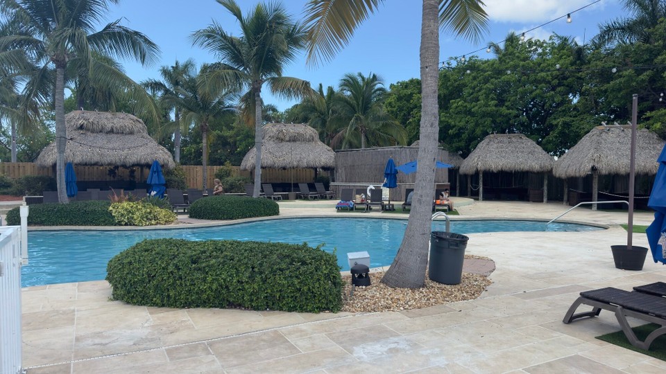 Vereinigte Staaten -  - 