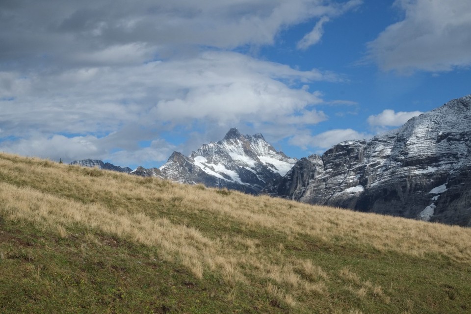 Schweiz - Wengen - Der Finsteraarhorn ist der höchste Berg der Berner Alpen