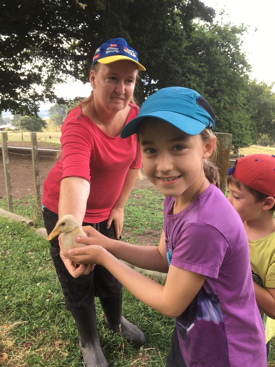 Neuseeland - Atiamuri - Ich habe eine Baby Ente gehalten 