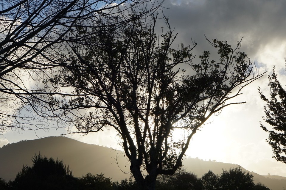Neuseeland - Rotorua - 