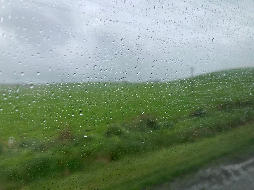 Neuseeland - Invercargill - Danach ein kurzer Trip mit Peter bevor es mit Eddi und Catlyn weiter nach Invergarcill geht 🥳
Leider regnet es jetzt, aber lässt sich ja nicht ändern 🤷🏻‍♀️😂