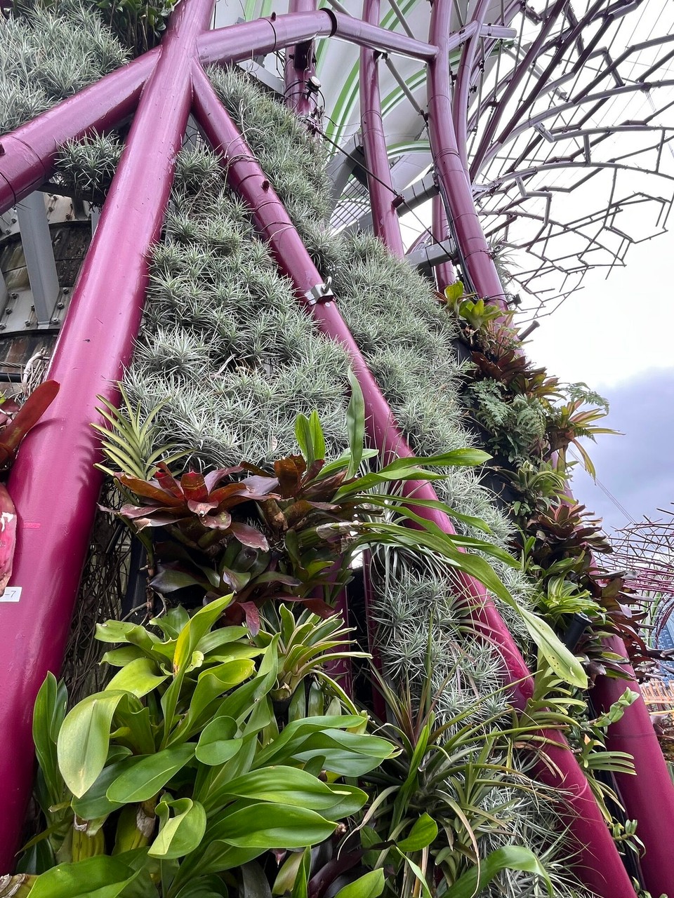 Singapur - Singapur - 
