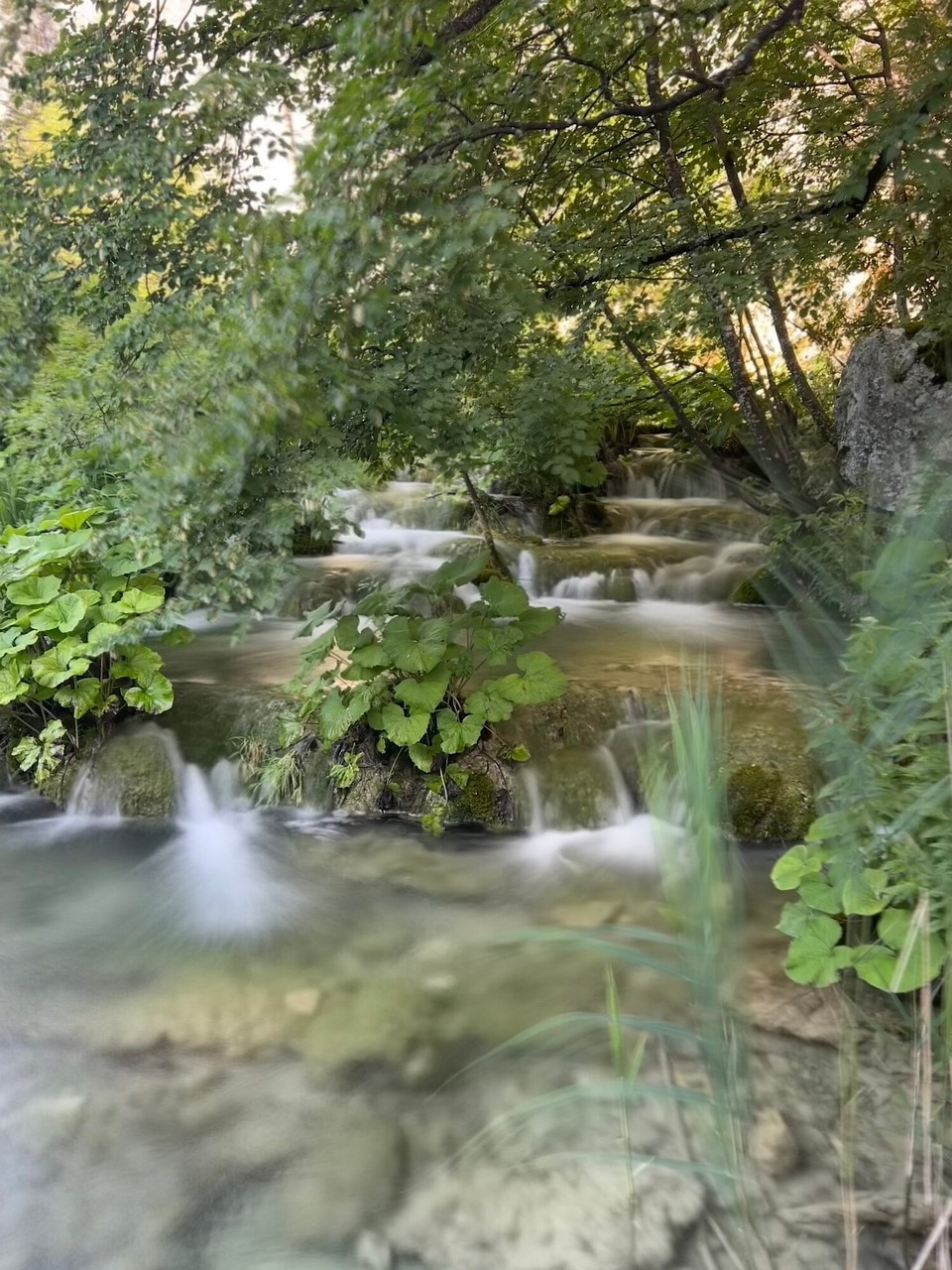Kroatien - Plitvička Jezera - 