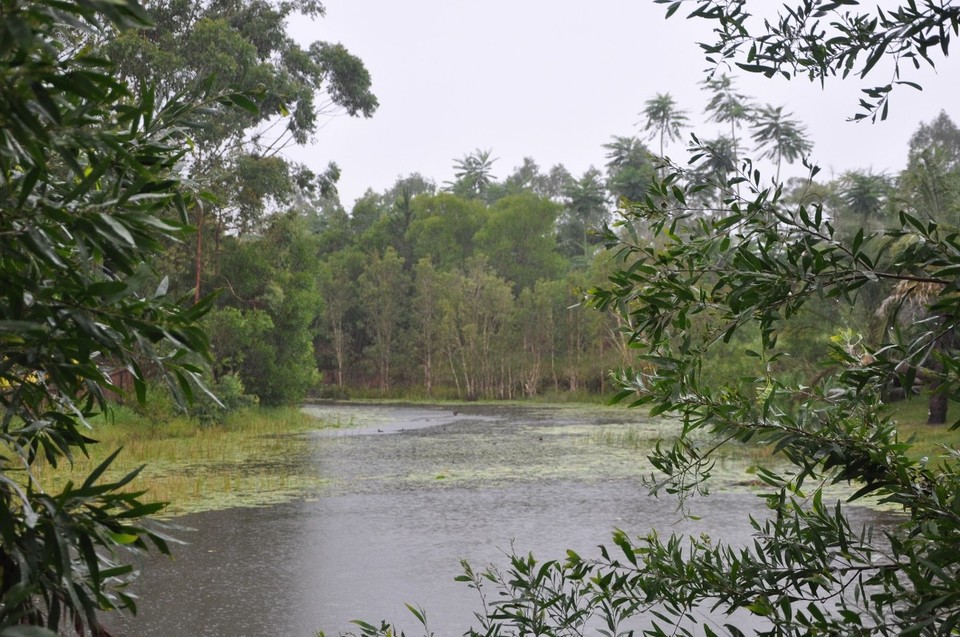 Australien - Noosa Heads - 