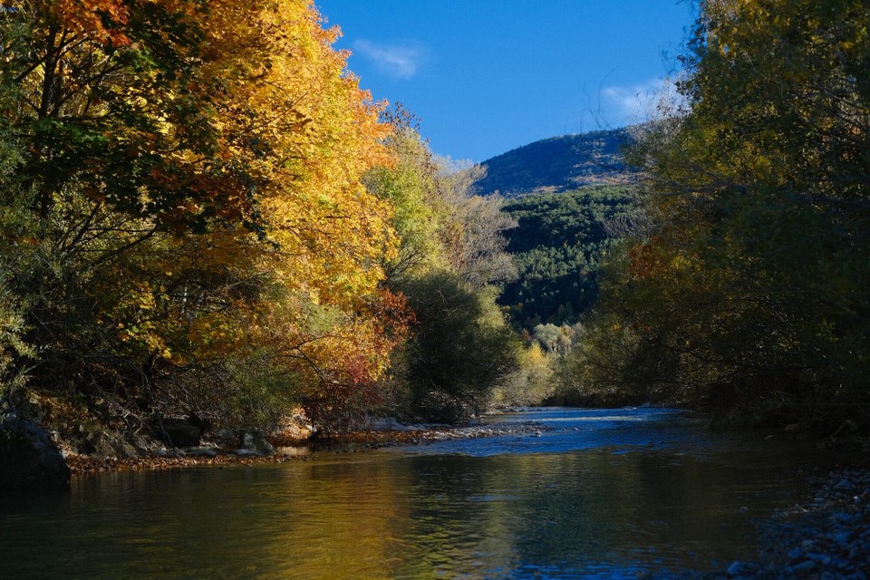 Frankreich - Saint-Martin-de-la-Cluze - 