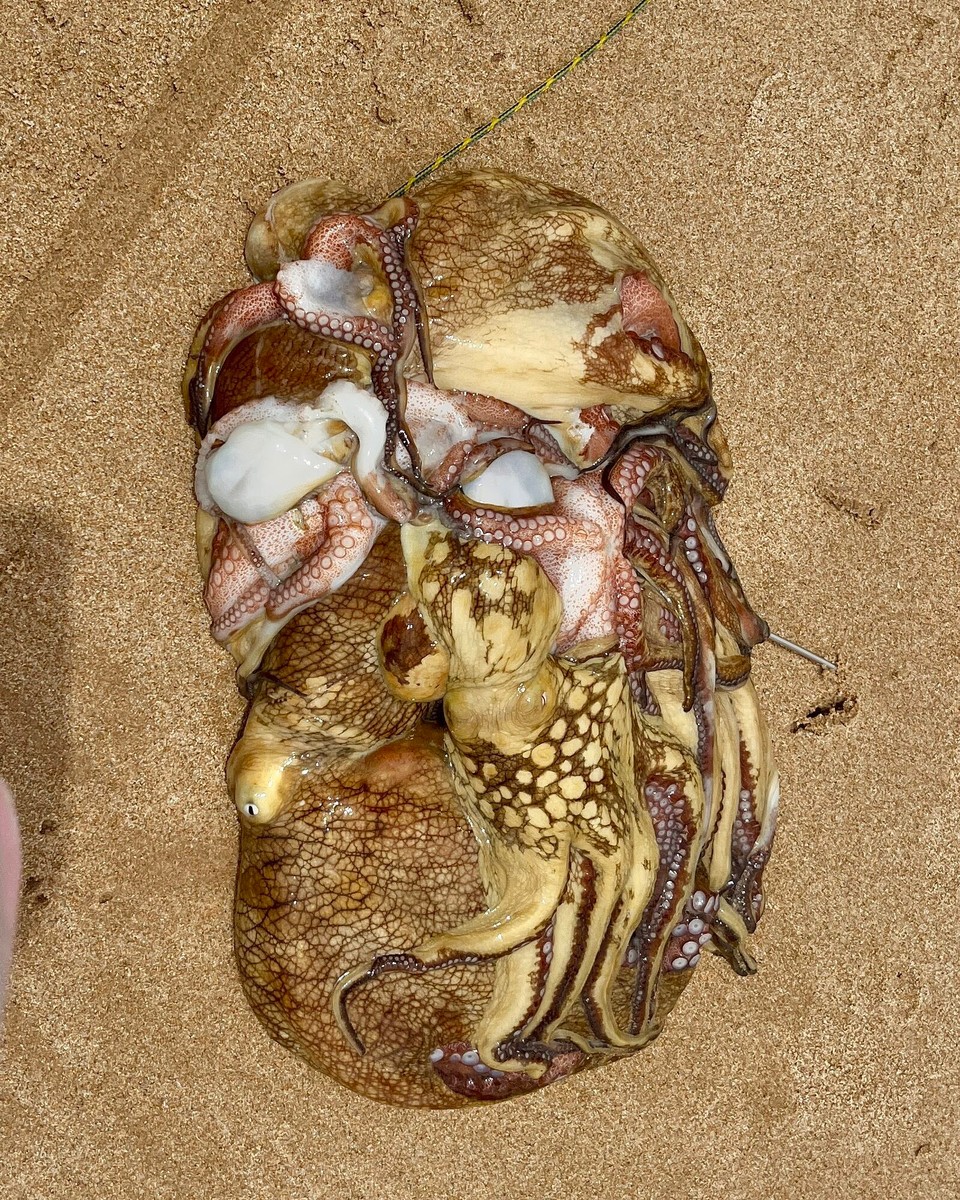 Brasilien - Salvador - 