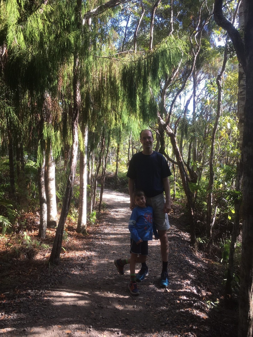 Neuseeland - Waipoua Kauri Forest - 