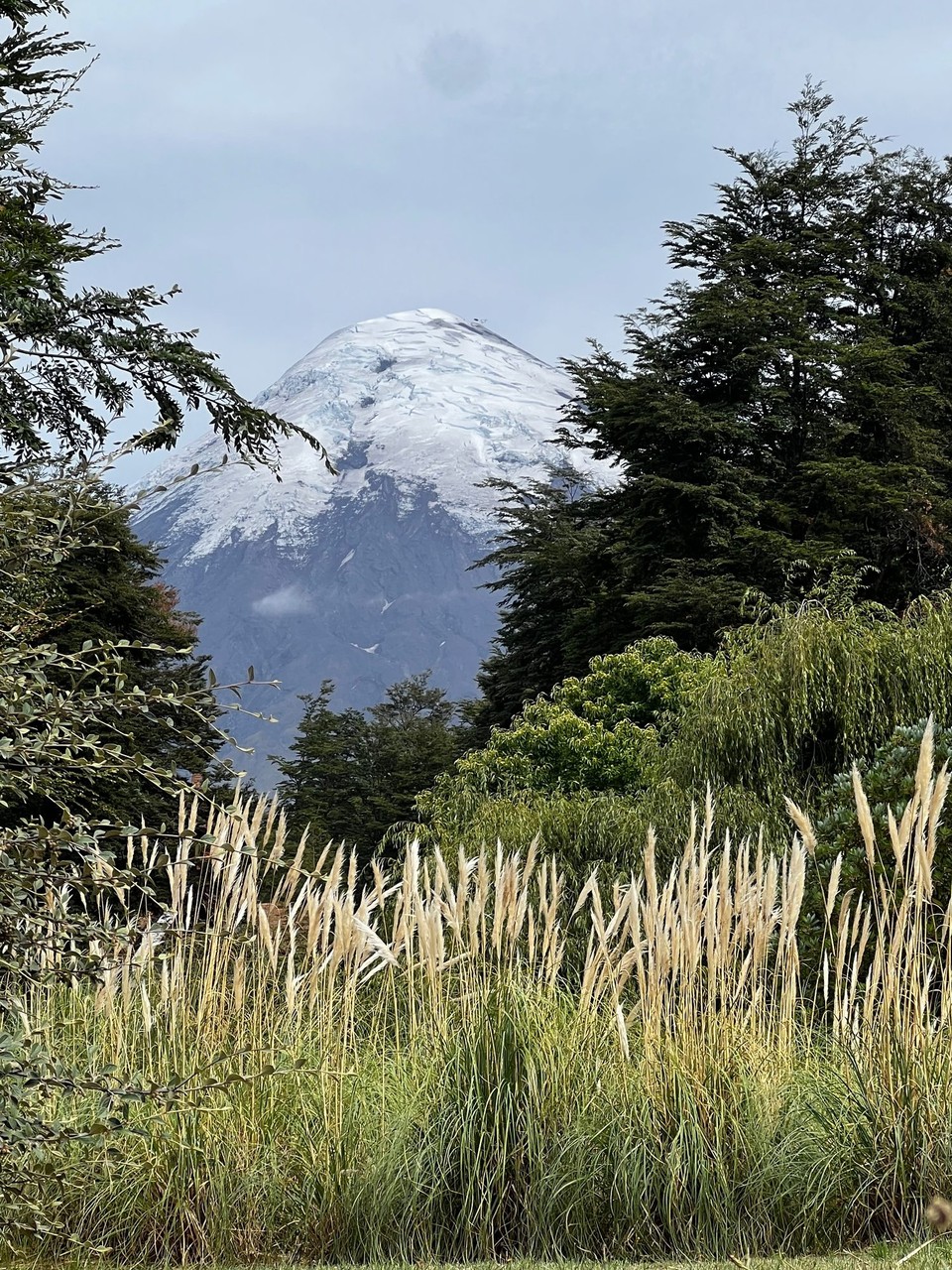 Chile - Puerto Montt - Arty pic 😉😉