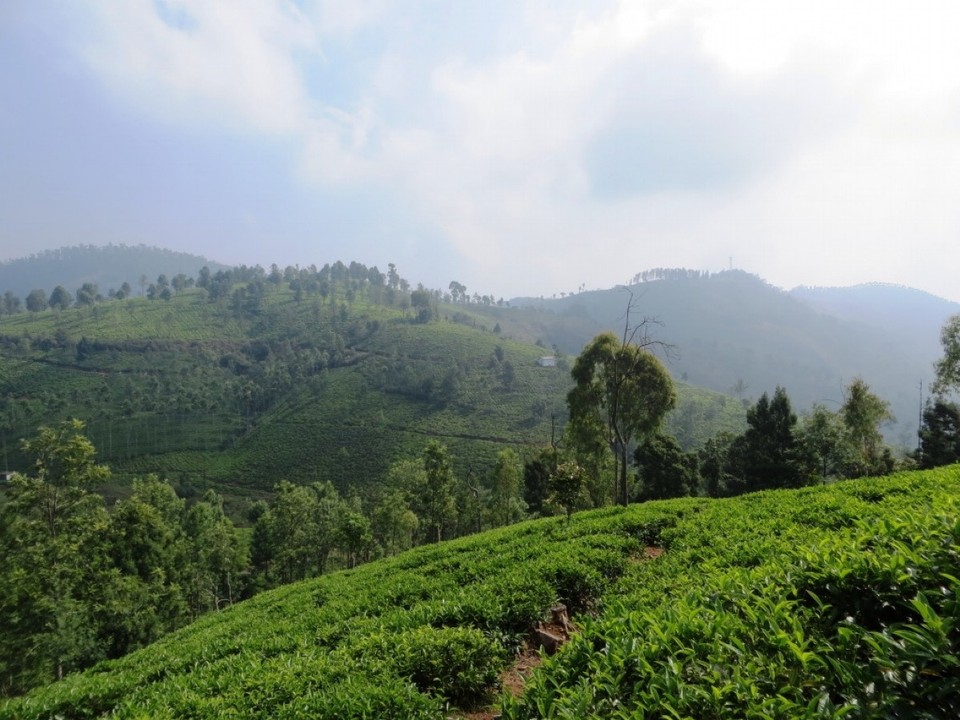 Indien - Coonoor - 