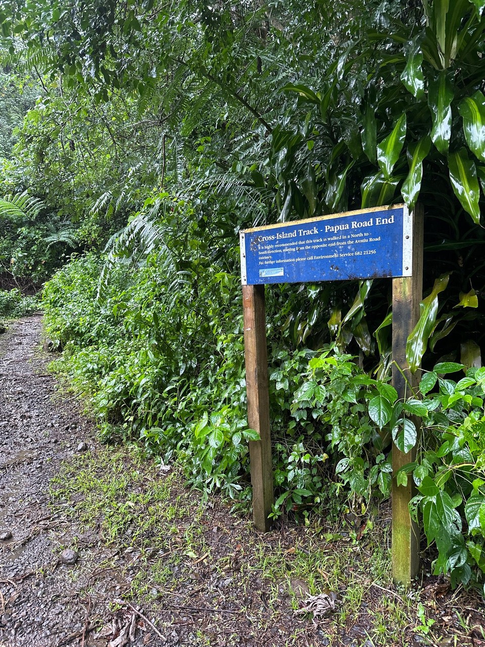 Cookinseln -  - nach 3 Std, 12km 300hm war die Insel überquert👍