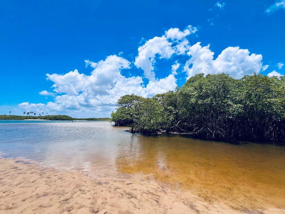 Brasilien - Jacuípe - 