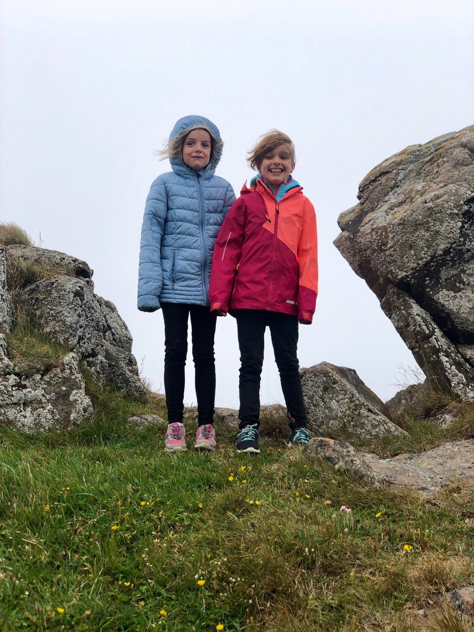 Island - Húnaþing vestra - Und die beiden sind auch hellwach.🤪