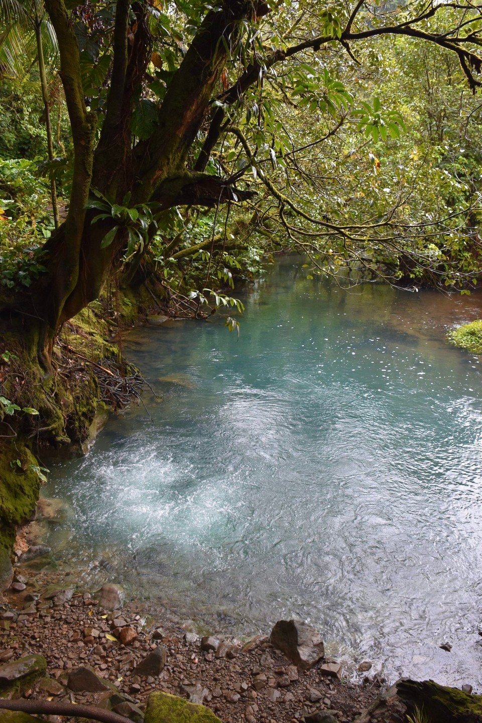 Costa Rica - Upala - Links unten in der Ecke ist schön zu sehen wie die Gase des Vulkans im Wasser entweichen.