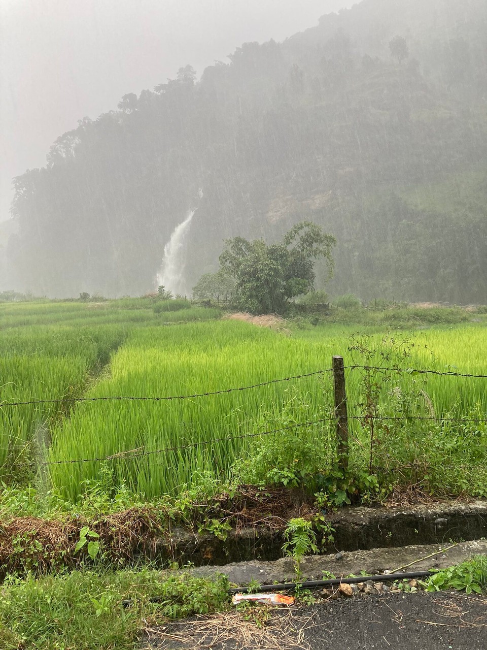 Nepal -  - Zum Schluss regnet es kräftig und es entstehen riesige Wasserfälle