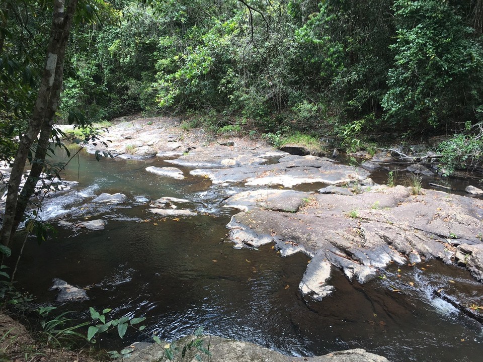  - Ausztrália, Atherton Tablelands - 