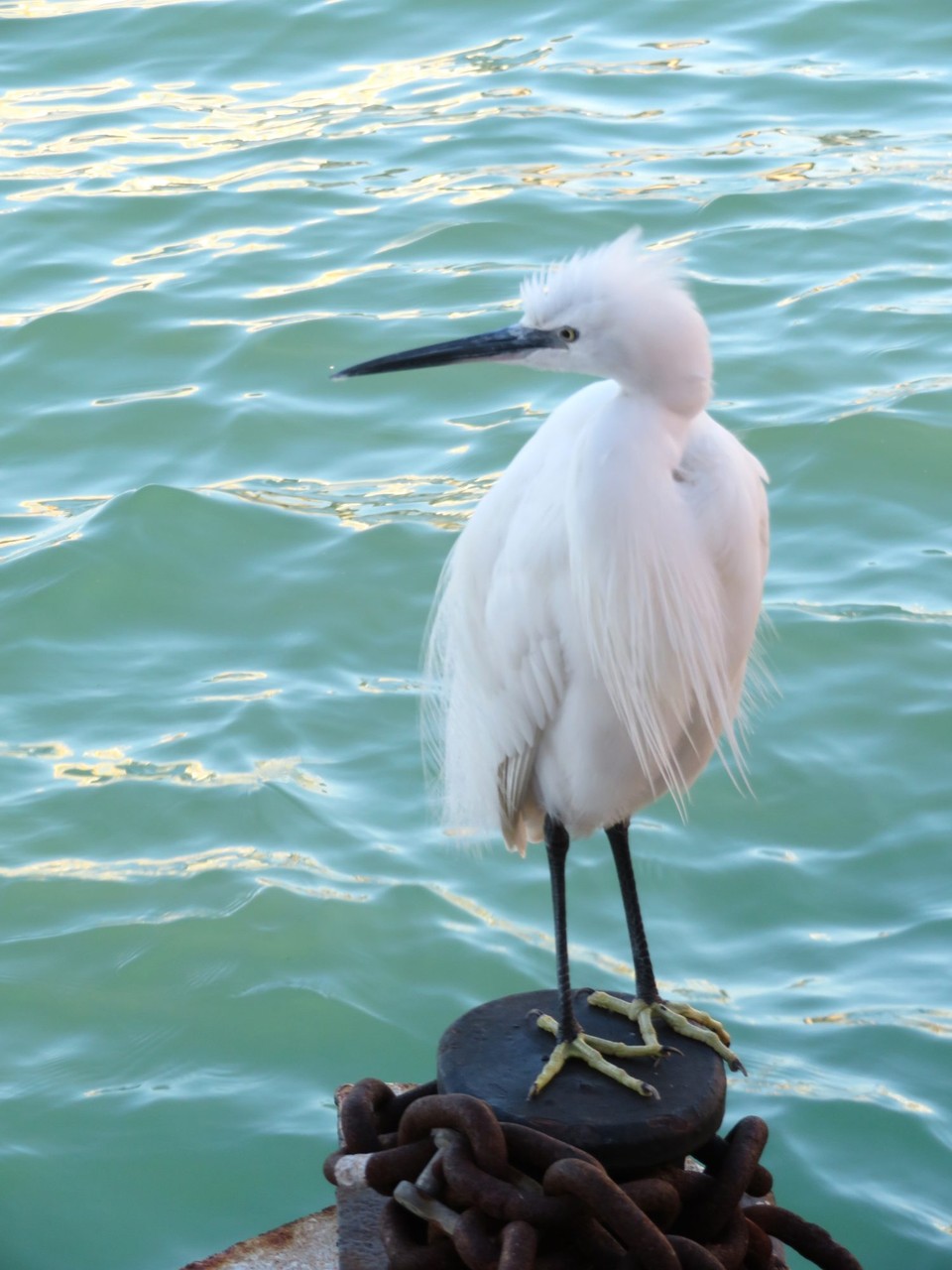 Italien - Venedig - 