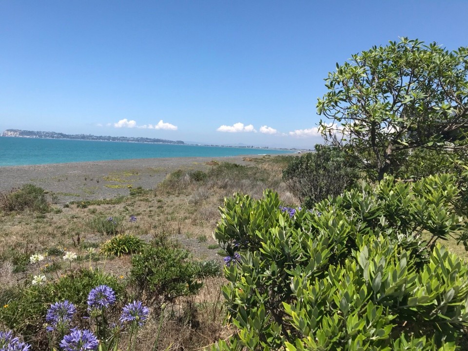 Neuseeland - Bay View - Unser Campingplatz mit Aussicht der uns gekaut wurde