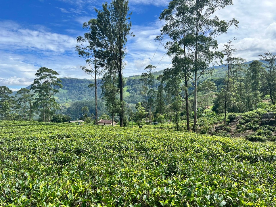 Sri Lanka -  - 