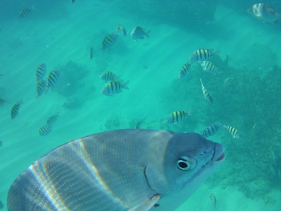 Kuba - Varadero - 