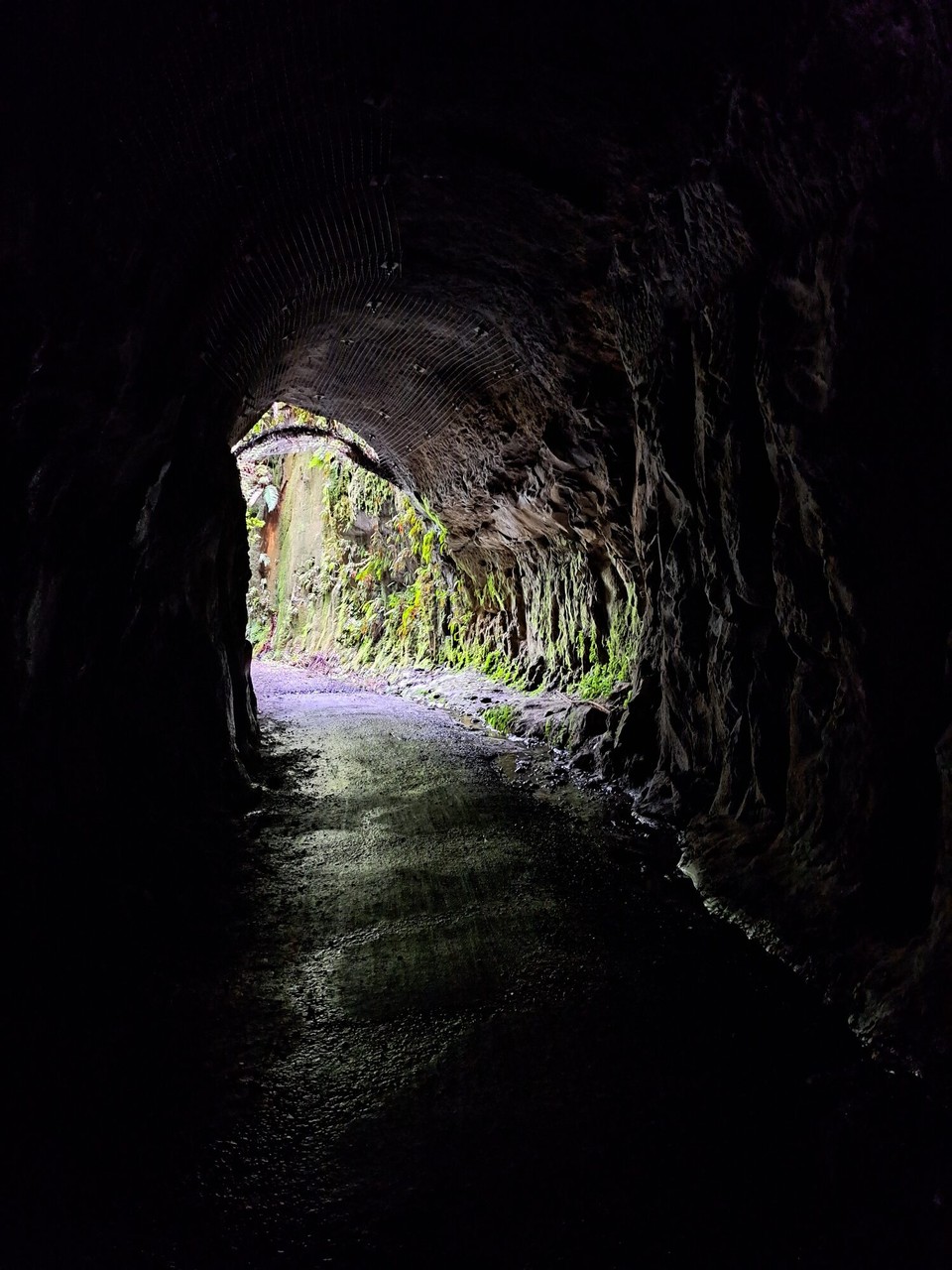 Neuseeland - Taumarunui - 