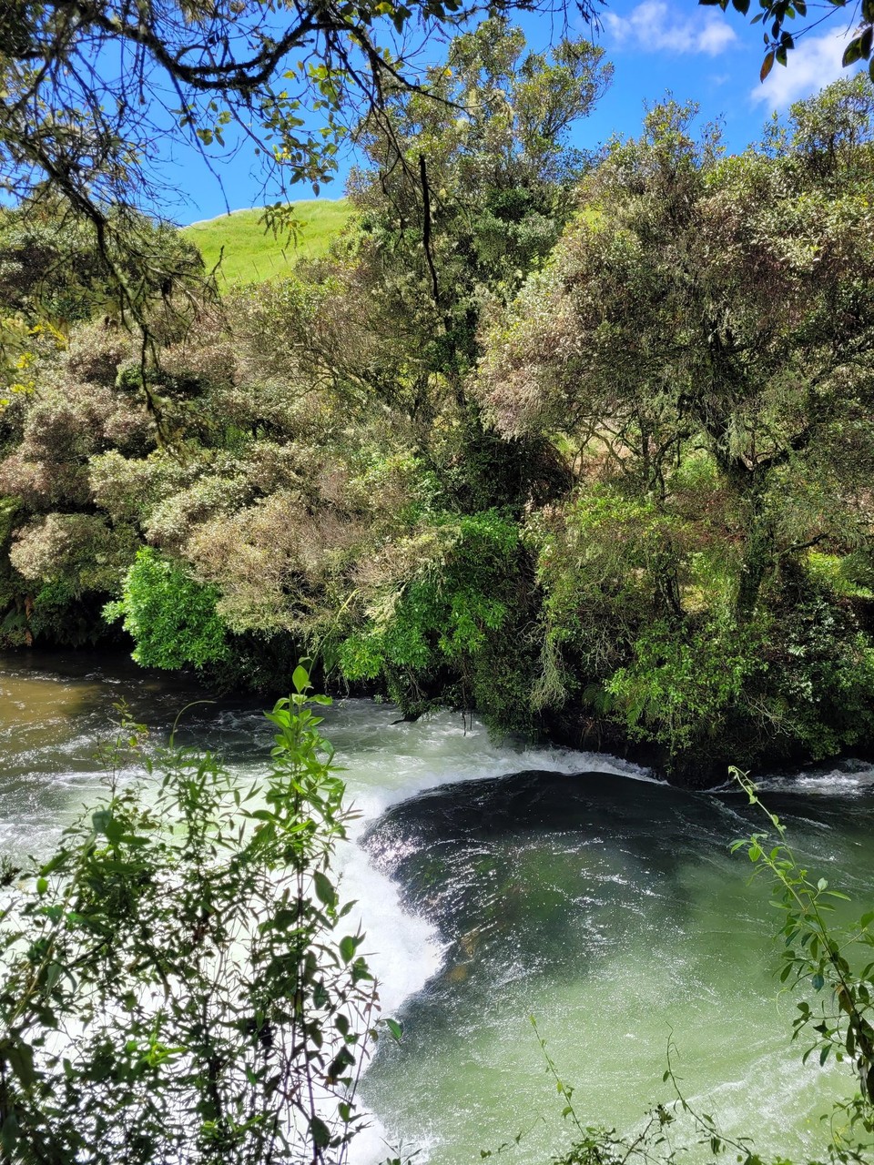 Neuseeland - Rotorua - 