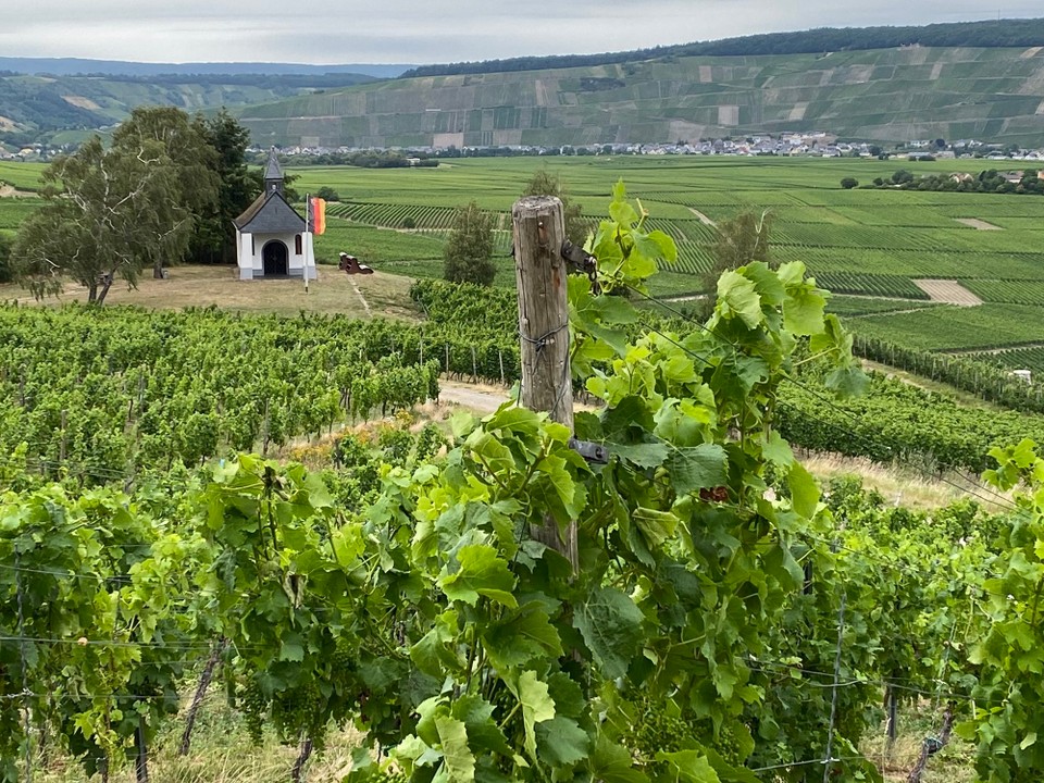 Deutschland - Neumagen-Dhron - 