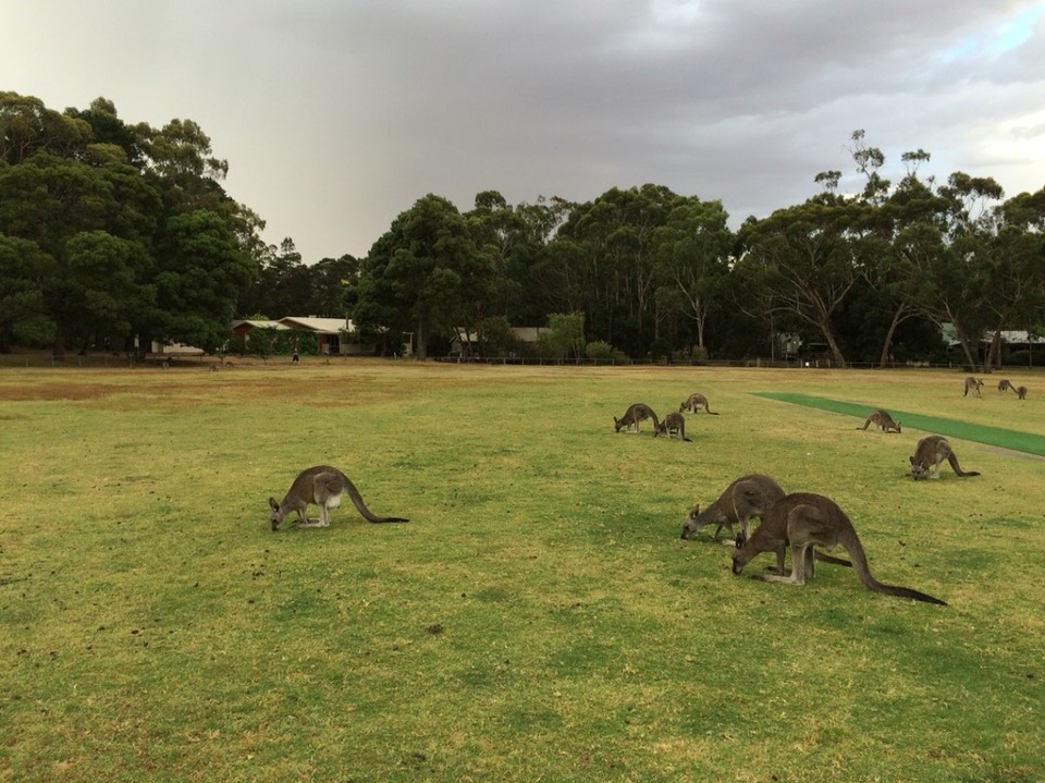 Australien -  - 
