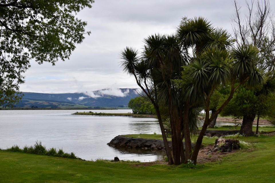 Neuseeland - Dunedin - Heute früh sah es leider wieder nicht so schön aus mit dem Wetter, über den Lake Waihola hingen die Wolken ziemlich tief.