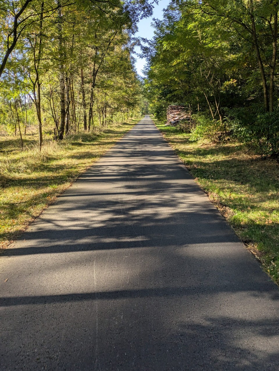 Deutschland - Brandenburg an der Havel - Ewig lang fuhren wir durch Wald und Wald und Wald auf tollen Wegen bei bestem Wetter.