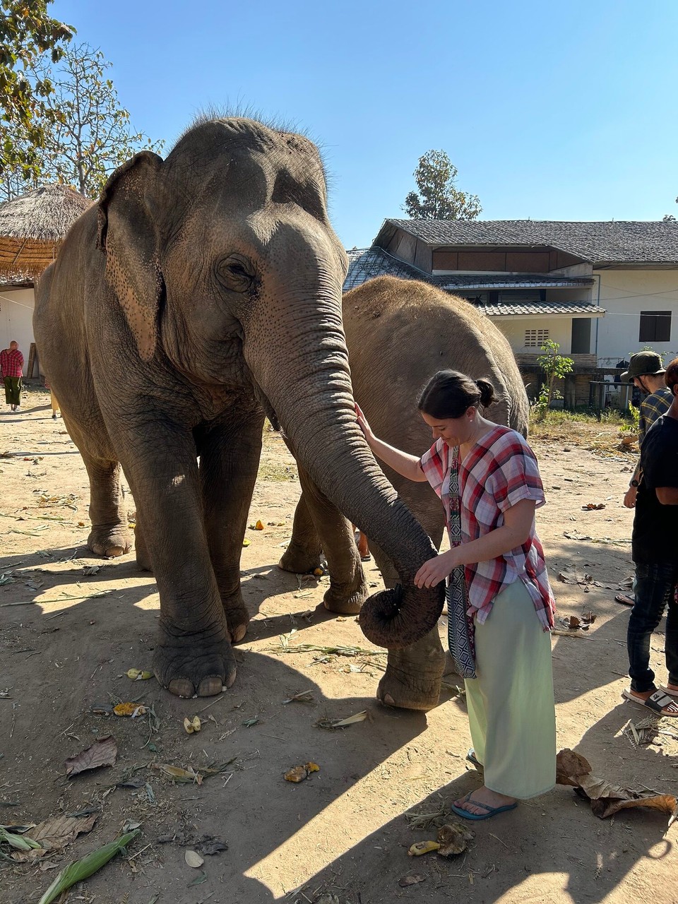 Thailand - Chiang Mai - 