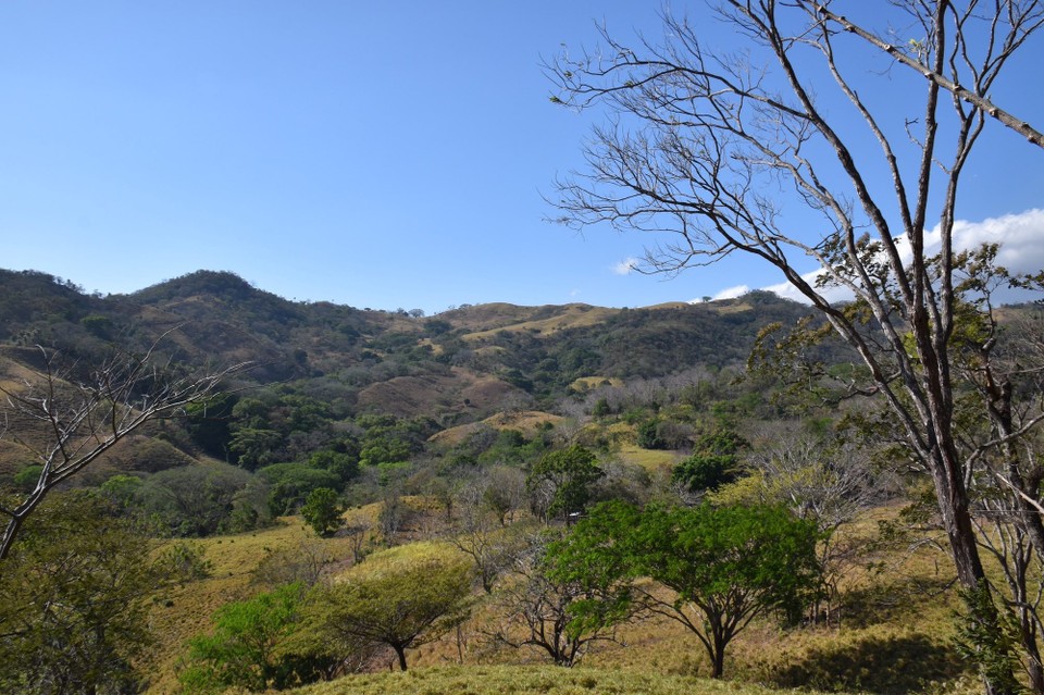 Costa Rica -  - Jetzt geht es hoch ins Gebirge, von 36 auf 24 Grad. Wo sind meine warmen Sachen? Abends dann nur noch 18 Grad.