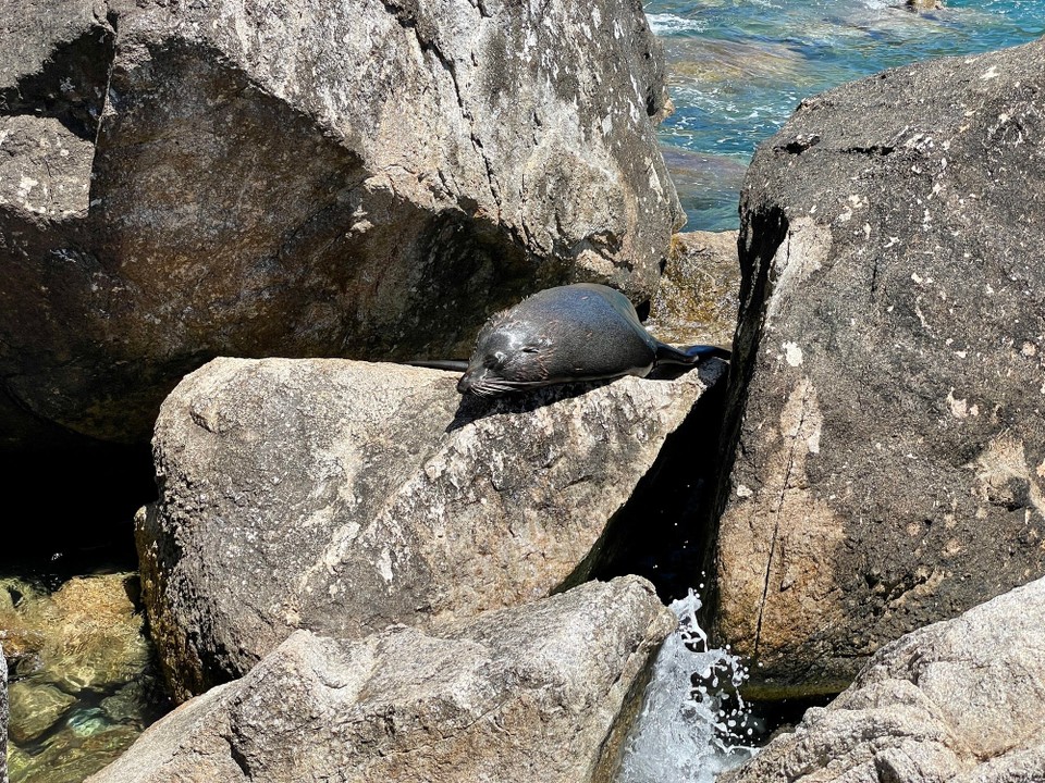 Neuseeland - Abel Tasman National Park - 