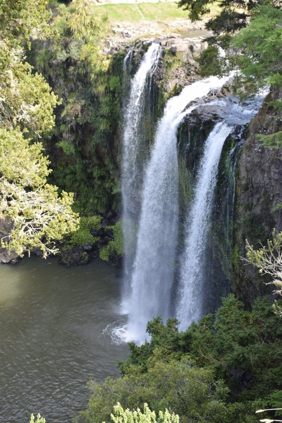 Neuseeland - Paihia - 