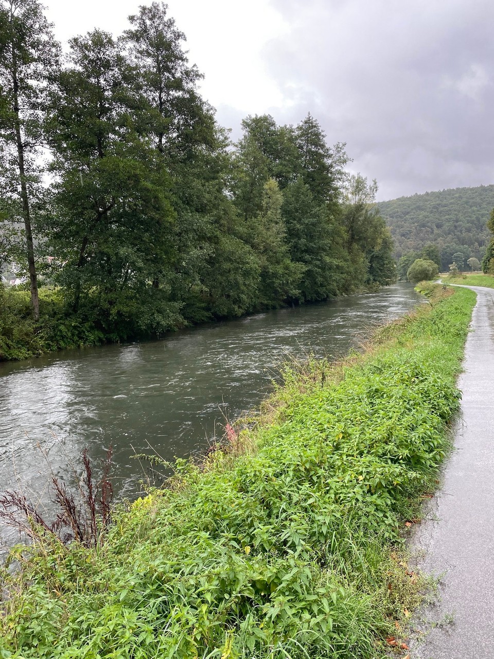 Deutschland - Regensburg - 