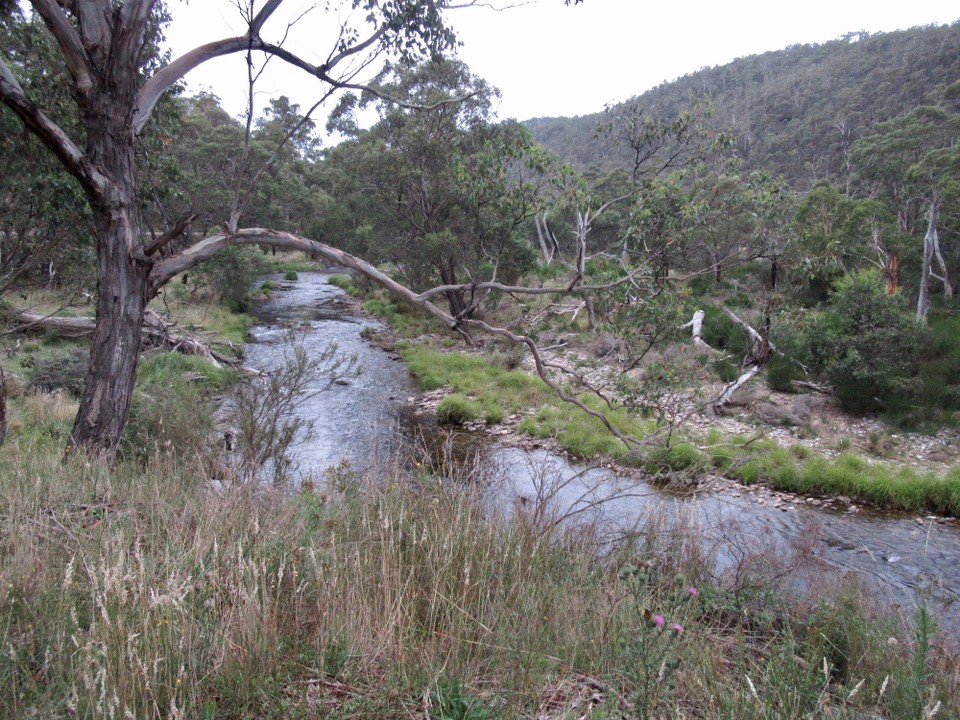 Australien - Lakes Entrance - Flussbett