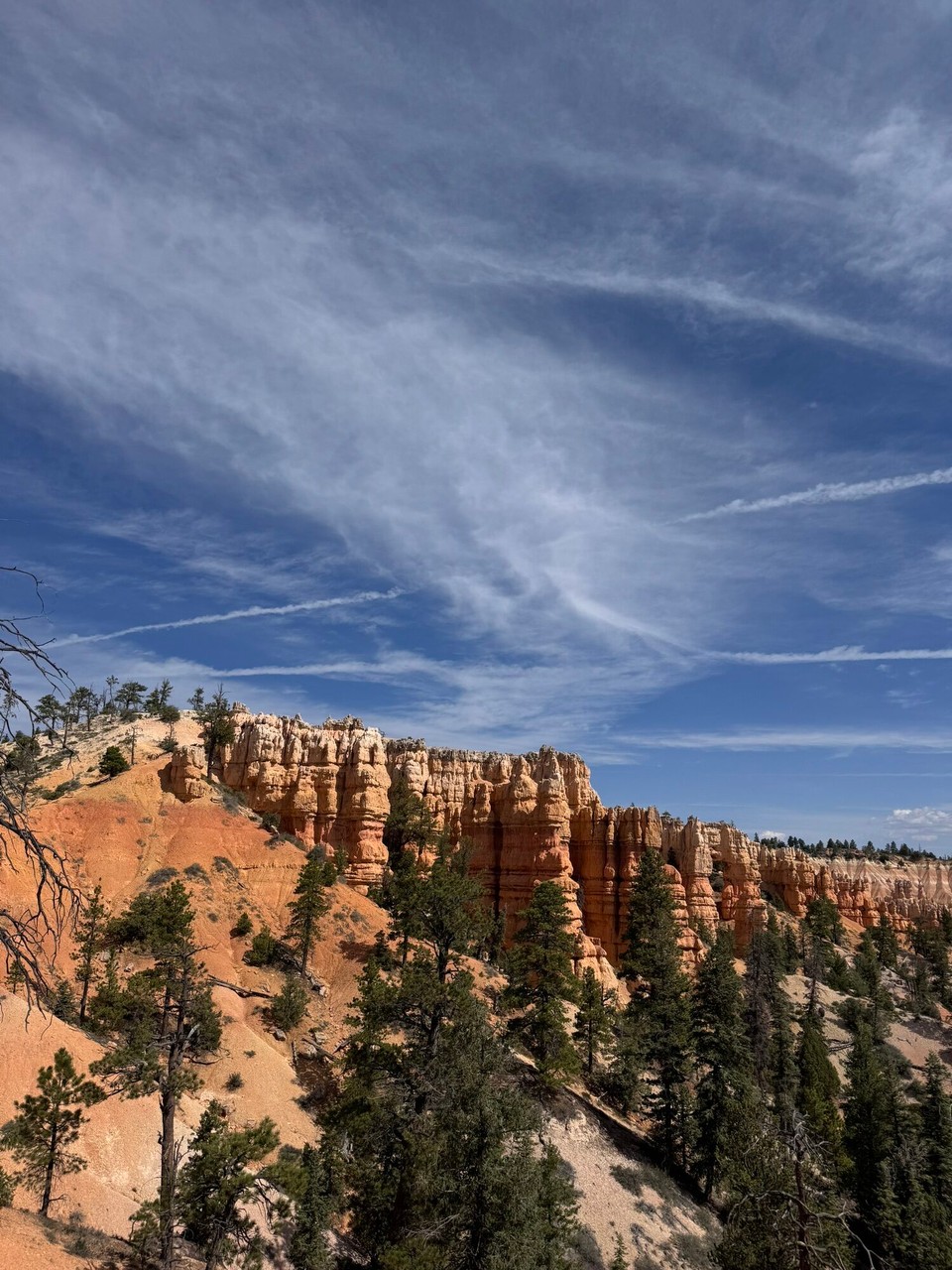 Vereinigte Staaten - Tropic - 