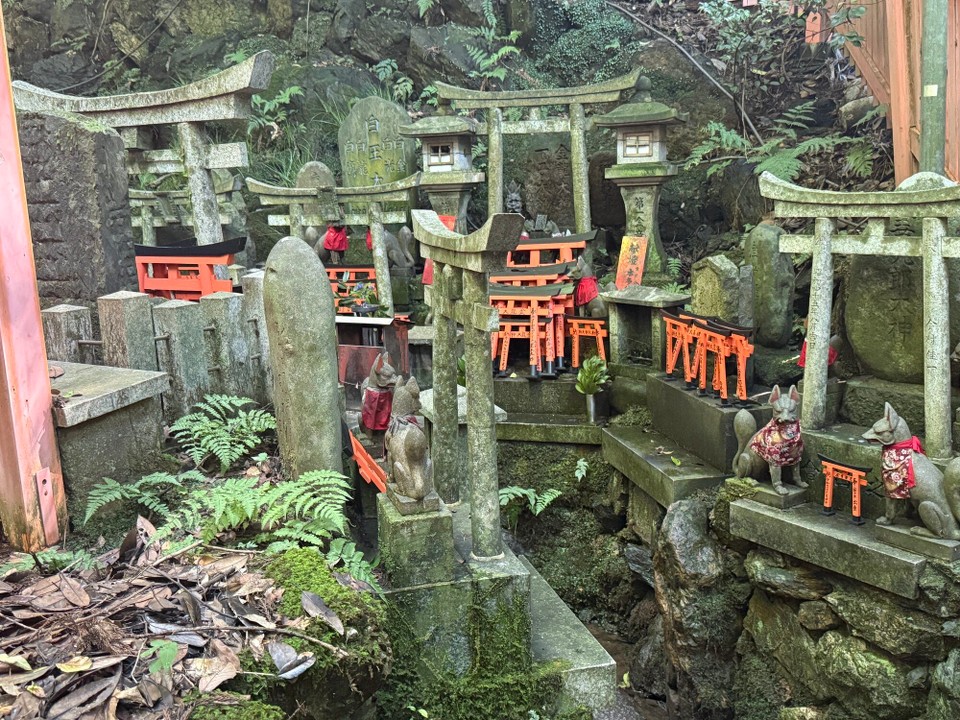 Japan - Kyoto - Kleine Torii beim Abstieg
