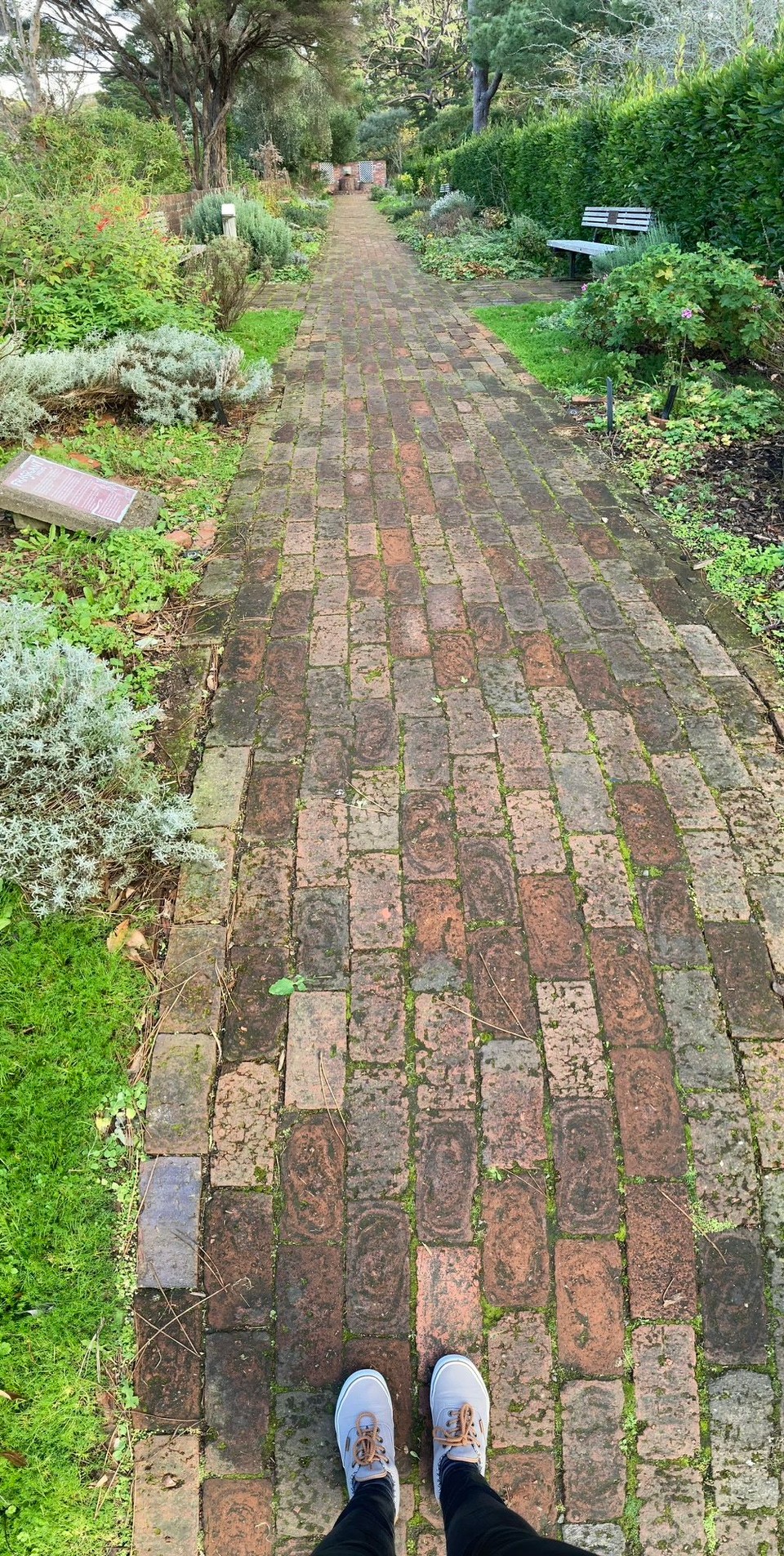 Neuseeland - Wellington - 