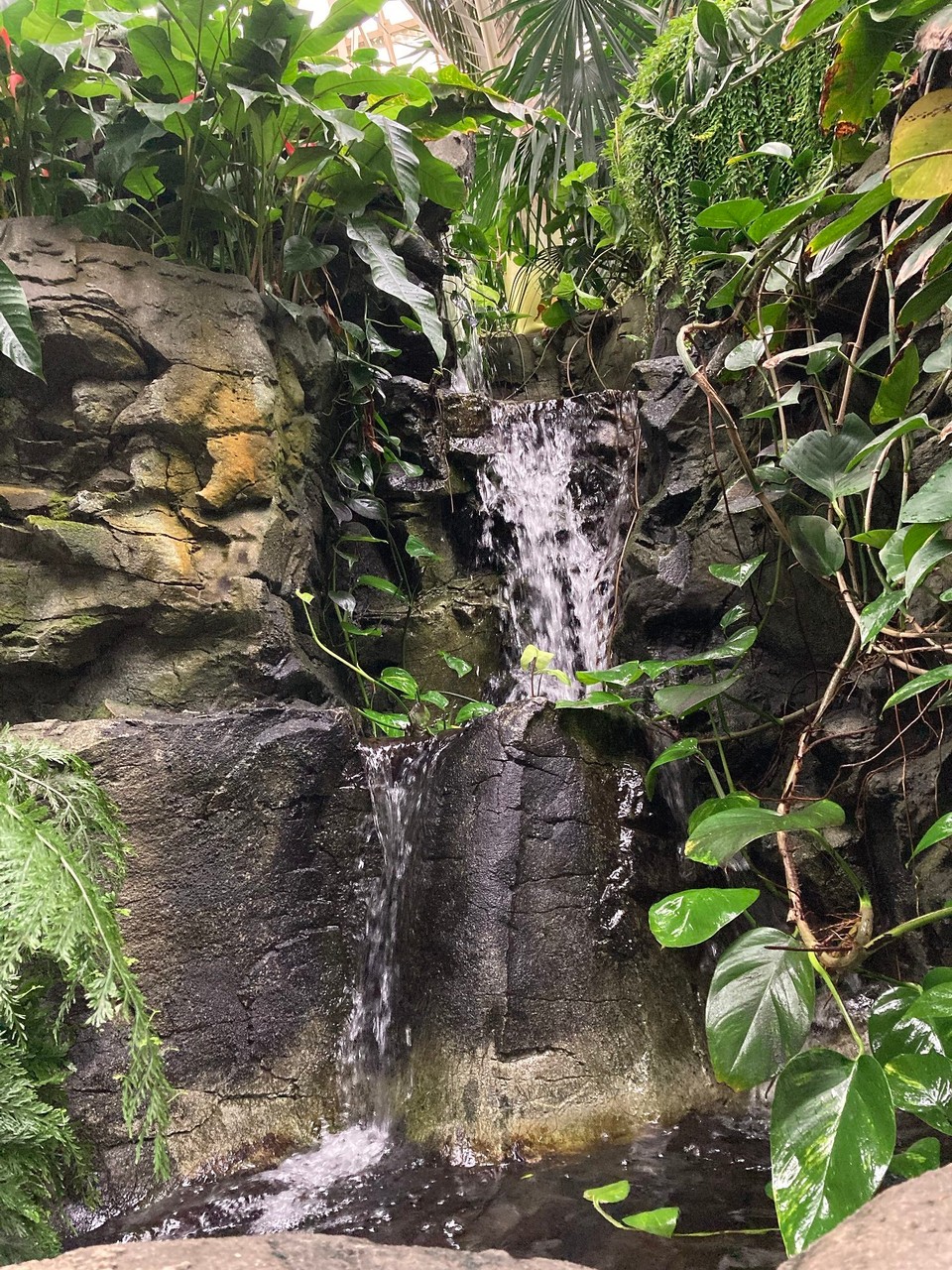 Neuseeland - Christchurch - Indoorwasserfall 🤩