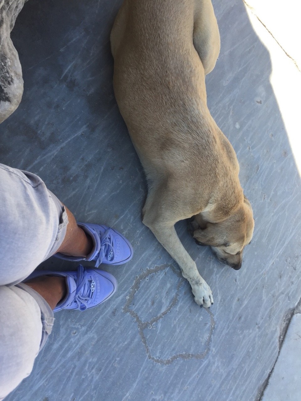 Türkei - Bodrum - 😁
