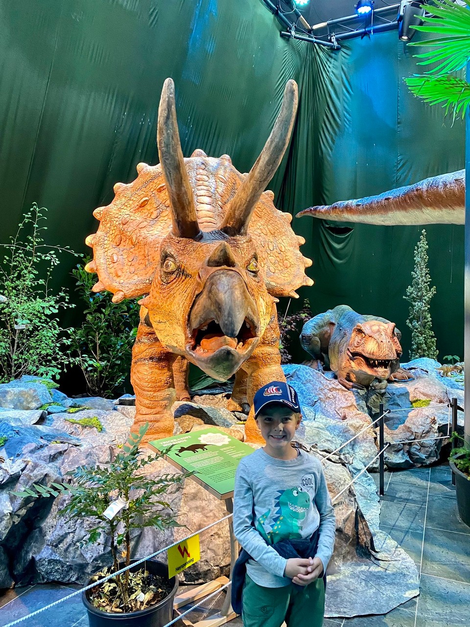 Norwegen - Stavanger - Besuch im Erdölmuseum im Stavanger. 
Aktuell mit Dinosaurier-Ausstellung 🦖🦕