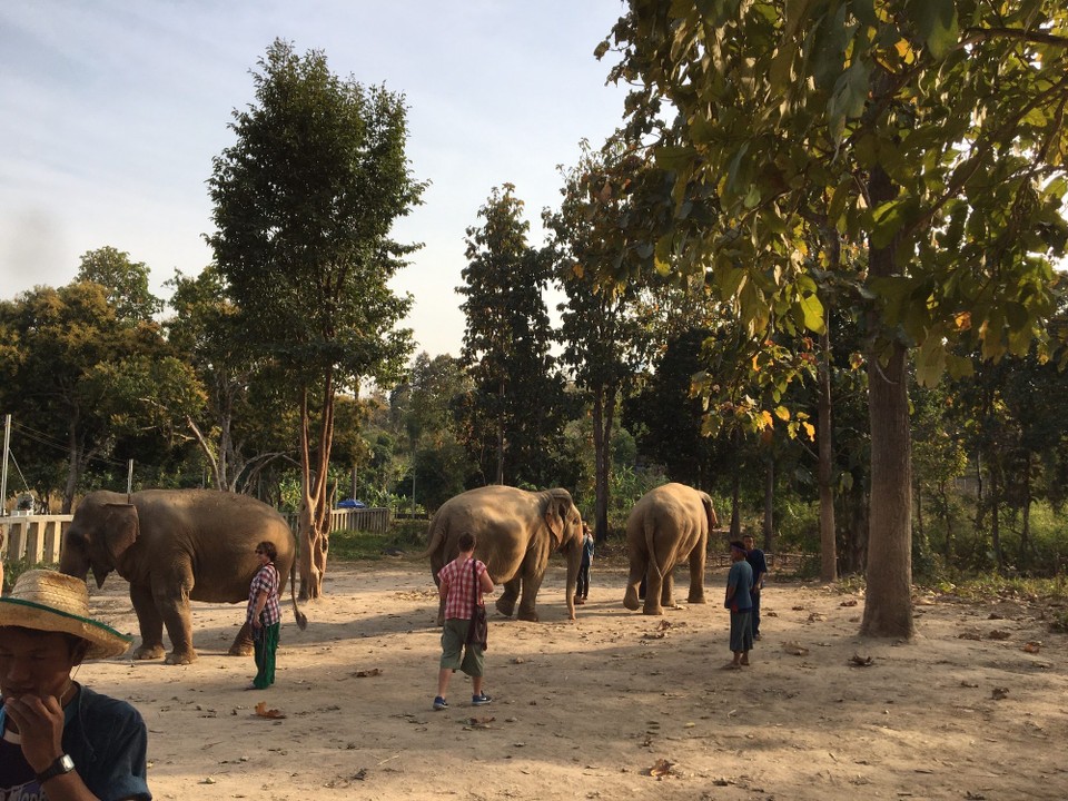 Thailand - Chiang Mai - 
