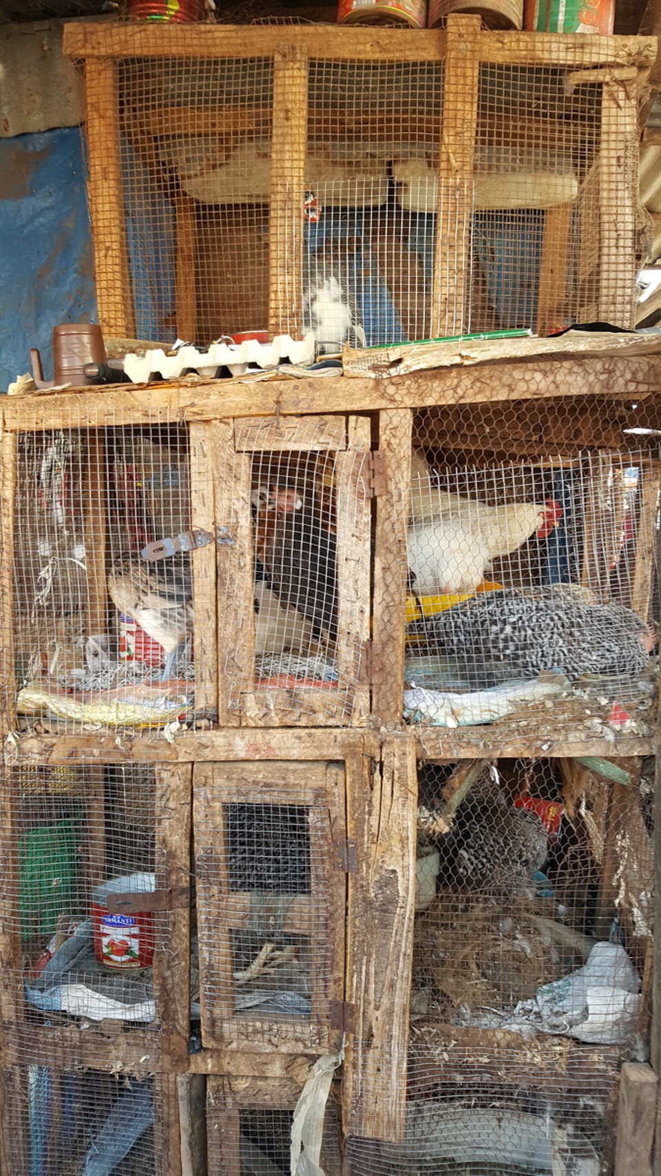 Gambia - Banjul - 