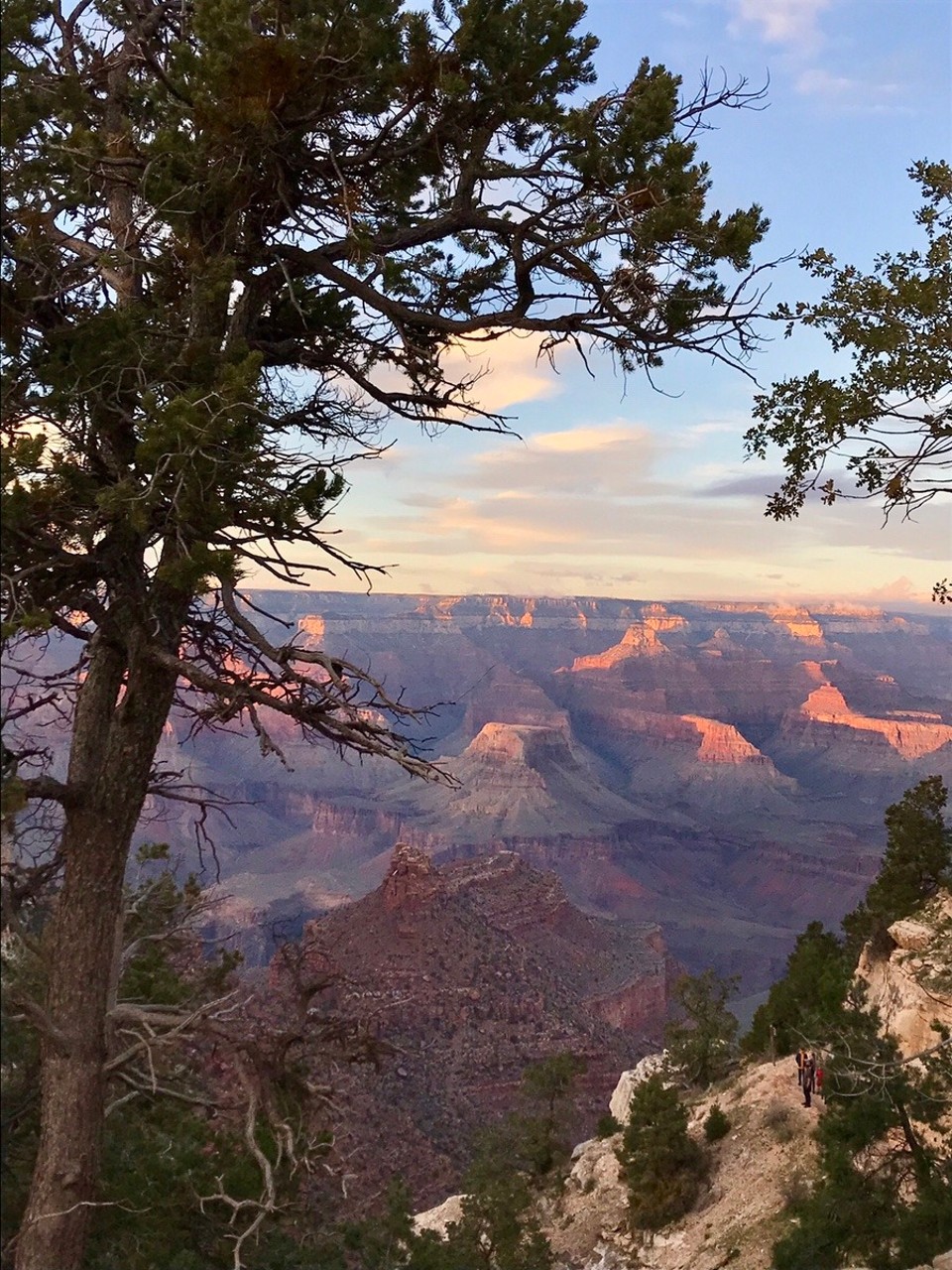 Vereinigte Staaten - Grand Canyon - 