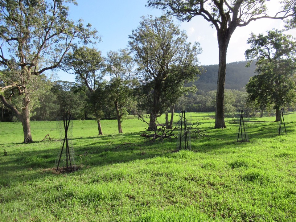 Australien - Kangaroo Valley - 