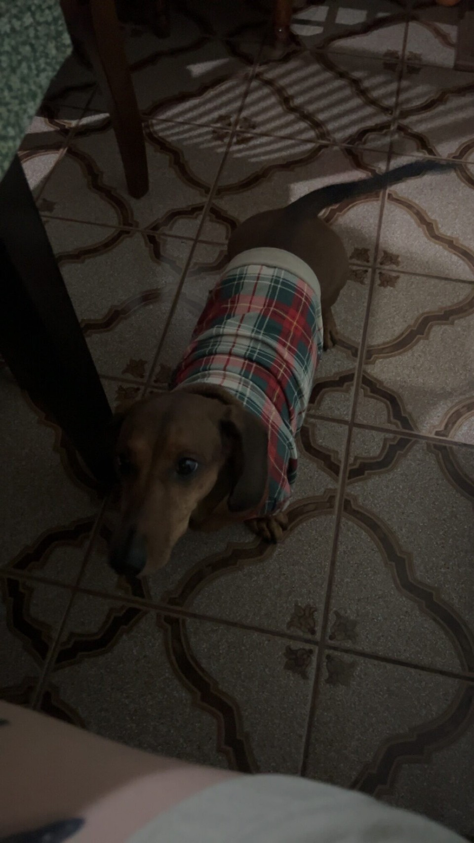 Costa Rica - Matina - So chalt, dass d‘Mohana sogar scho es hübsches Winterkleidli hett müesse alege😂