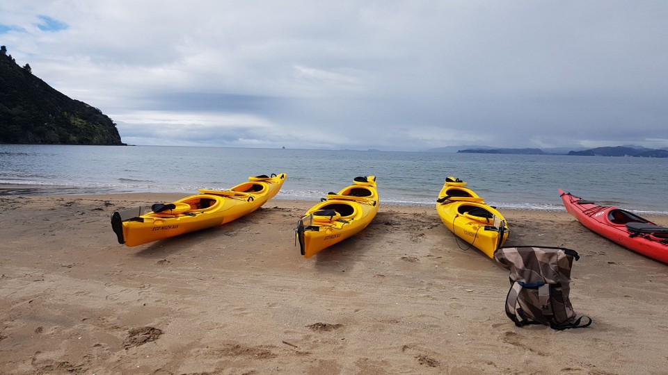 Neuseeland - Whitianga - 