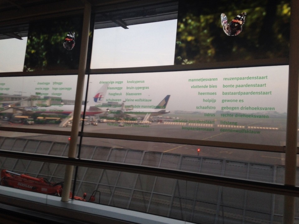 The Netherlands - Amsterdam Airport Schiphol - Ons vliegtuig, met die blauwe staartvin.
